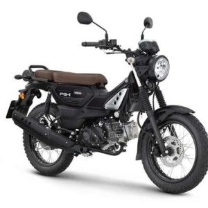 YAMAHA PG1